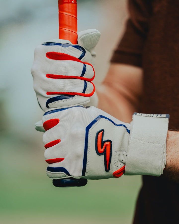 Winder Series Batting Gloves - Patriot