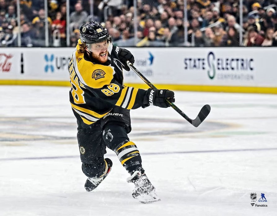 David Pastrnak Shooting Action Boston Bruins 8" x 10" Hockey Photo