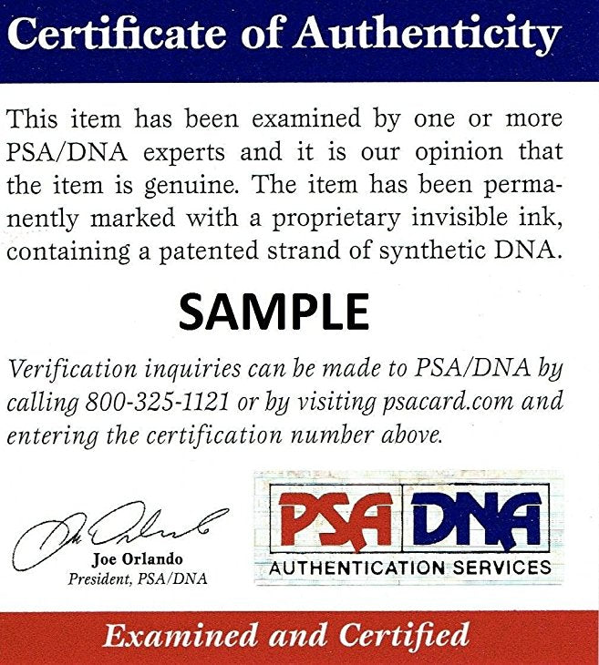 Giannis Antetokounmpo Slam Dunk v. Celtics Milwaukee Bucks Autographed 16x20 Framed Basketball Photo