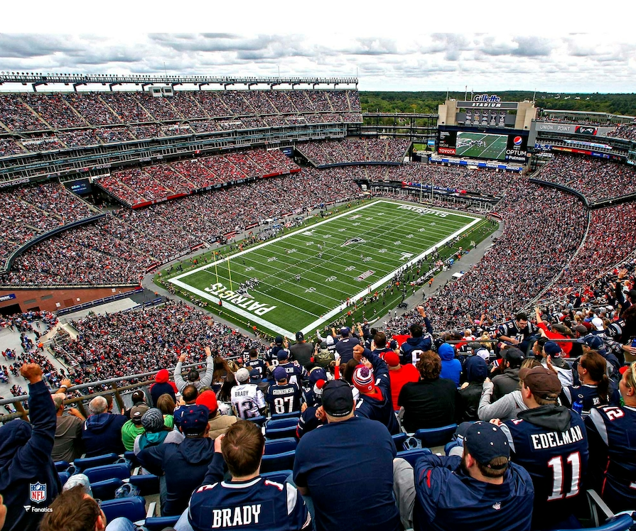 New England Patriots Gillette Stadium In the Crowd 8" x 10" Football Photo