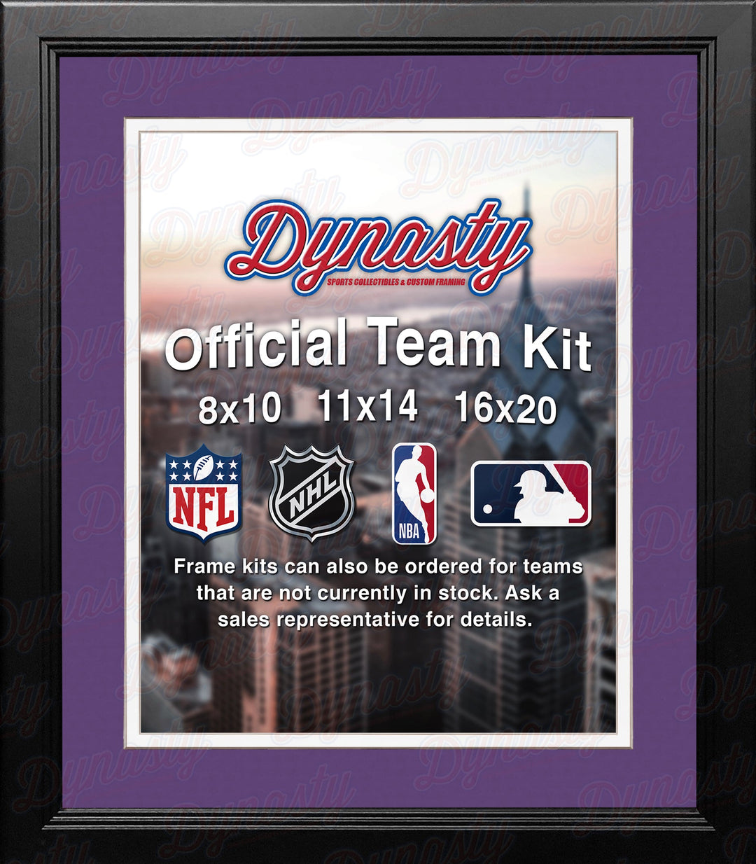 NBA Basketball Photo Picture Frame Kit - Sacramento Kings (Purple Matting, White Trim)