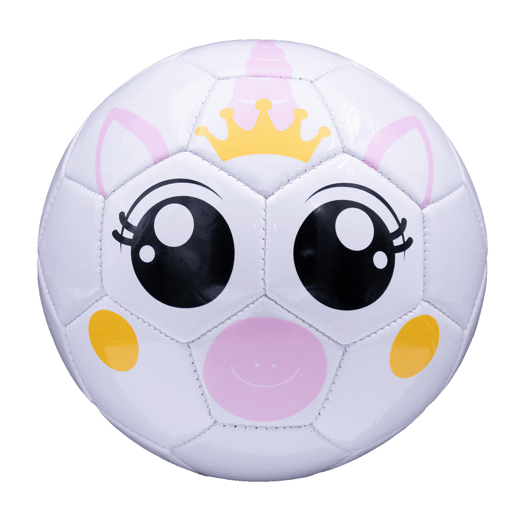 Fun Recreational soccer ball