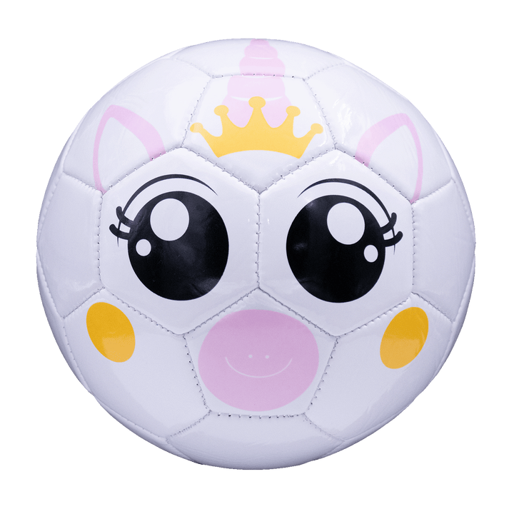 Fun Recreational soccer ball