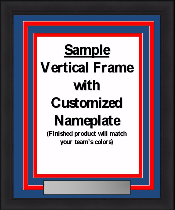 NHL Hockey Photo Picture Frame Kit - Anaheim Ducks (Black Matting, Gold Trim)