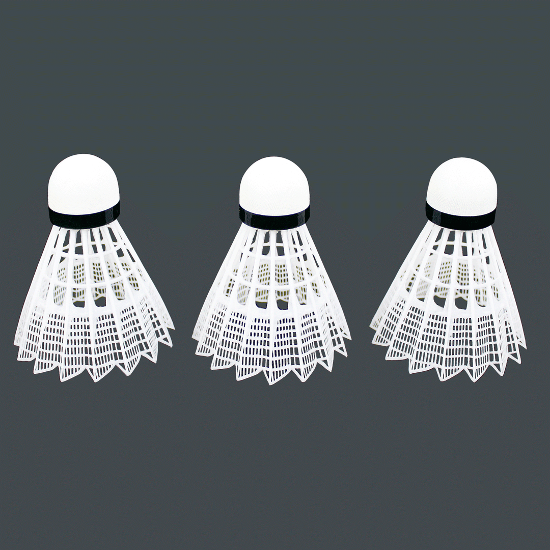 Baden Sports Backyard Game Champions Badminton Set