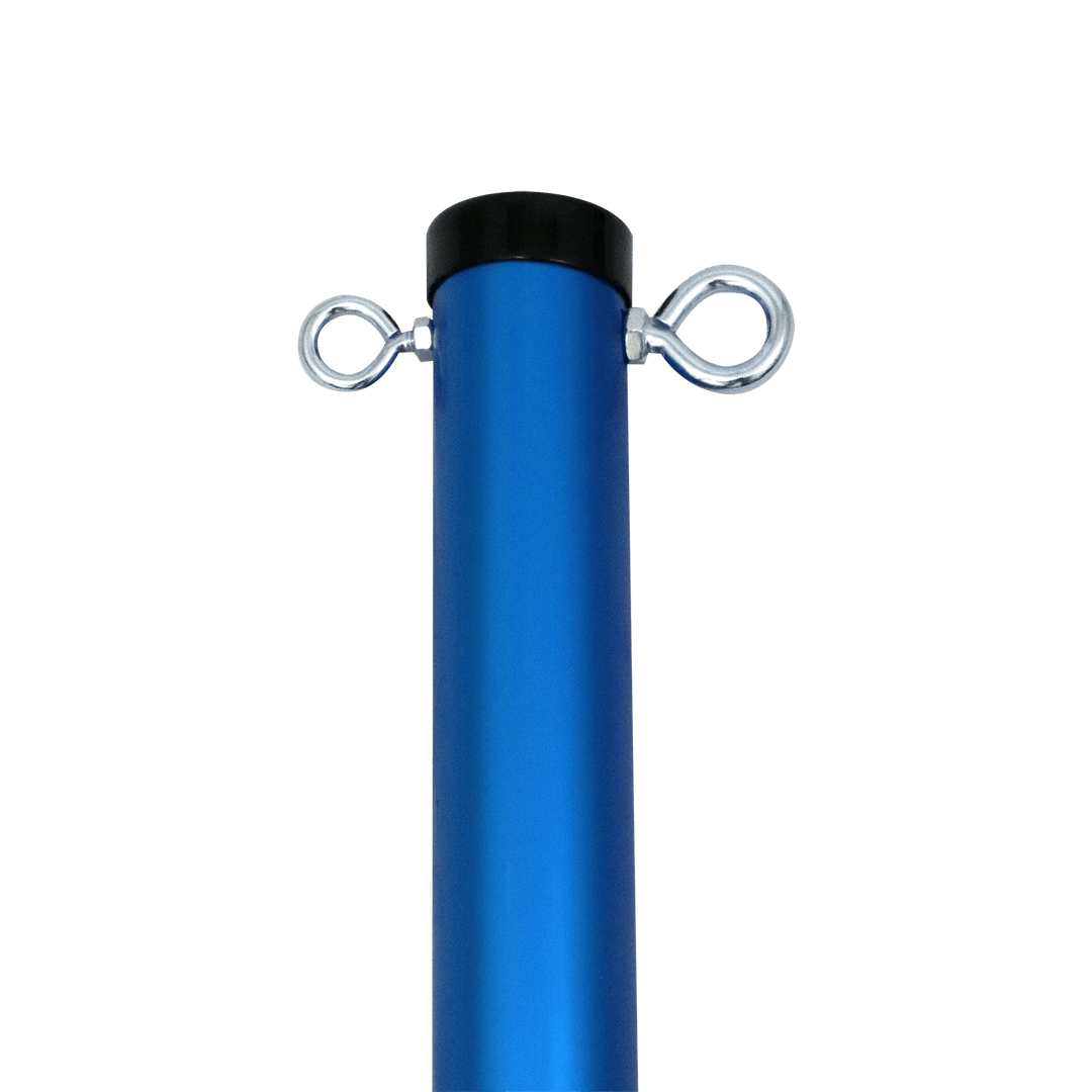 Baden Sports Backyard Game Pro Volleyball Set