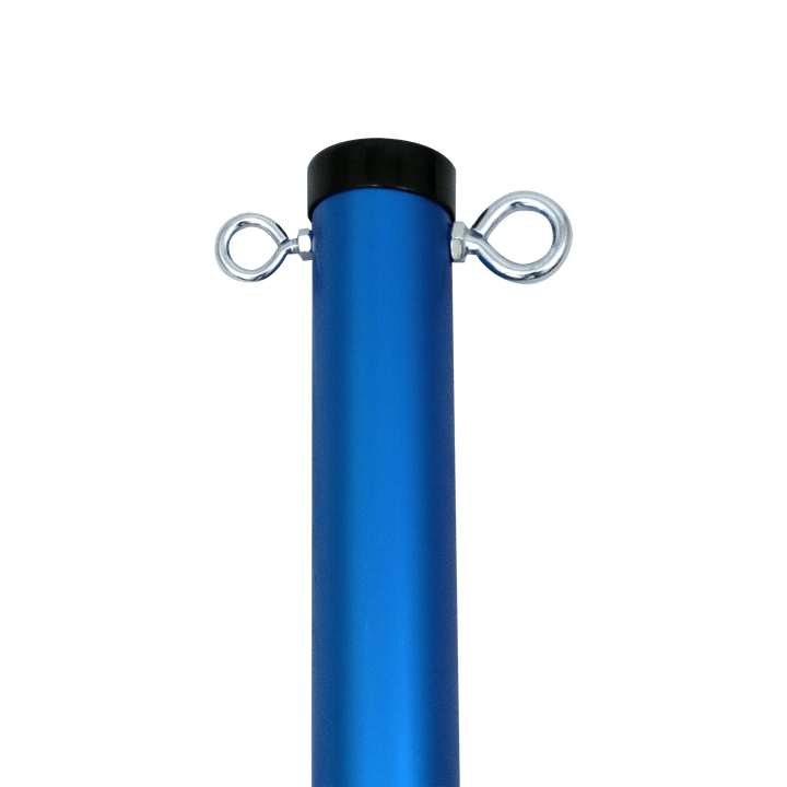 Baden Sports Backyard Game Pro Volleyball Set