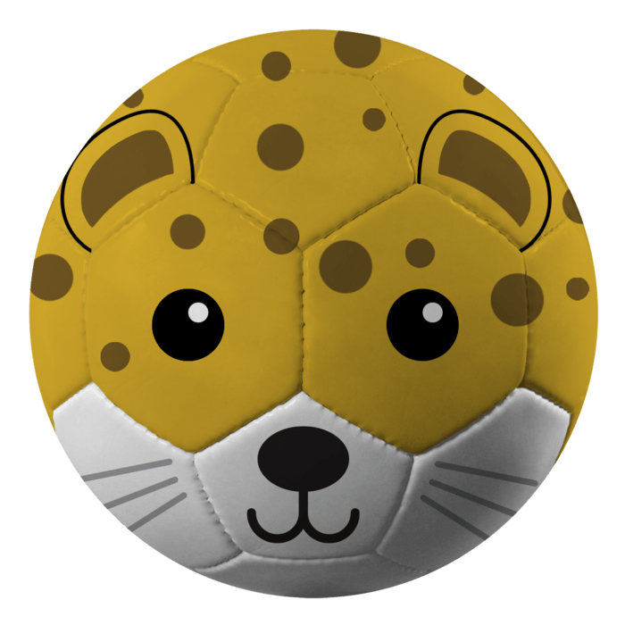 Baden Sports Leopard Fun Recreational soccer ball