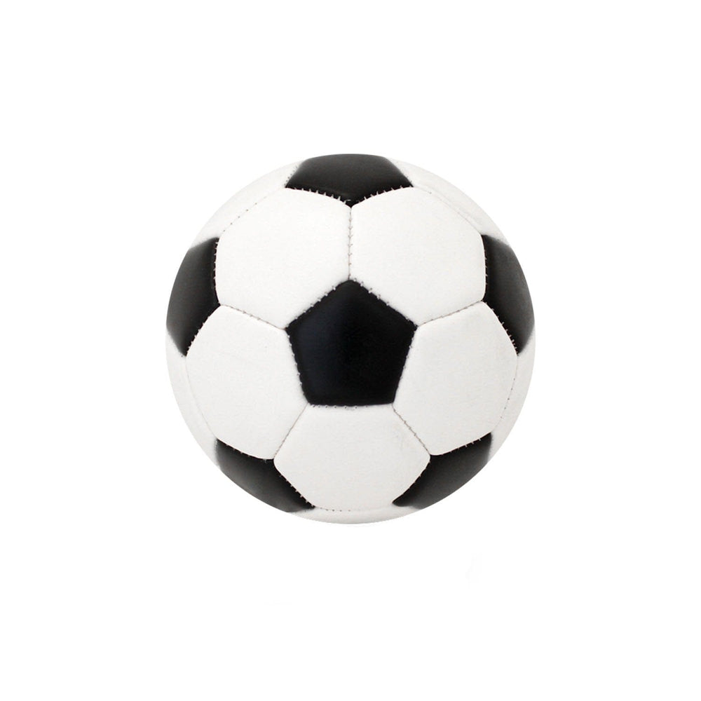 Baden Sports Soccer Large Panel Mini Autograph Soccer Ball