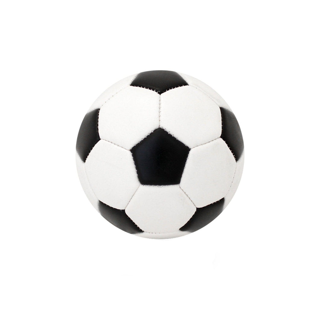 Baden Sports Soccer Large Panel Mini Autograph Soccer Ball