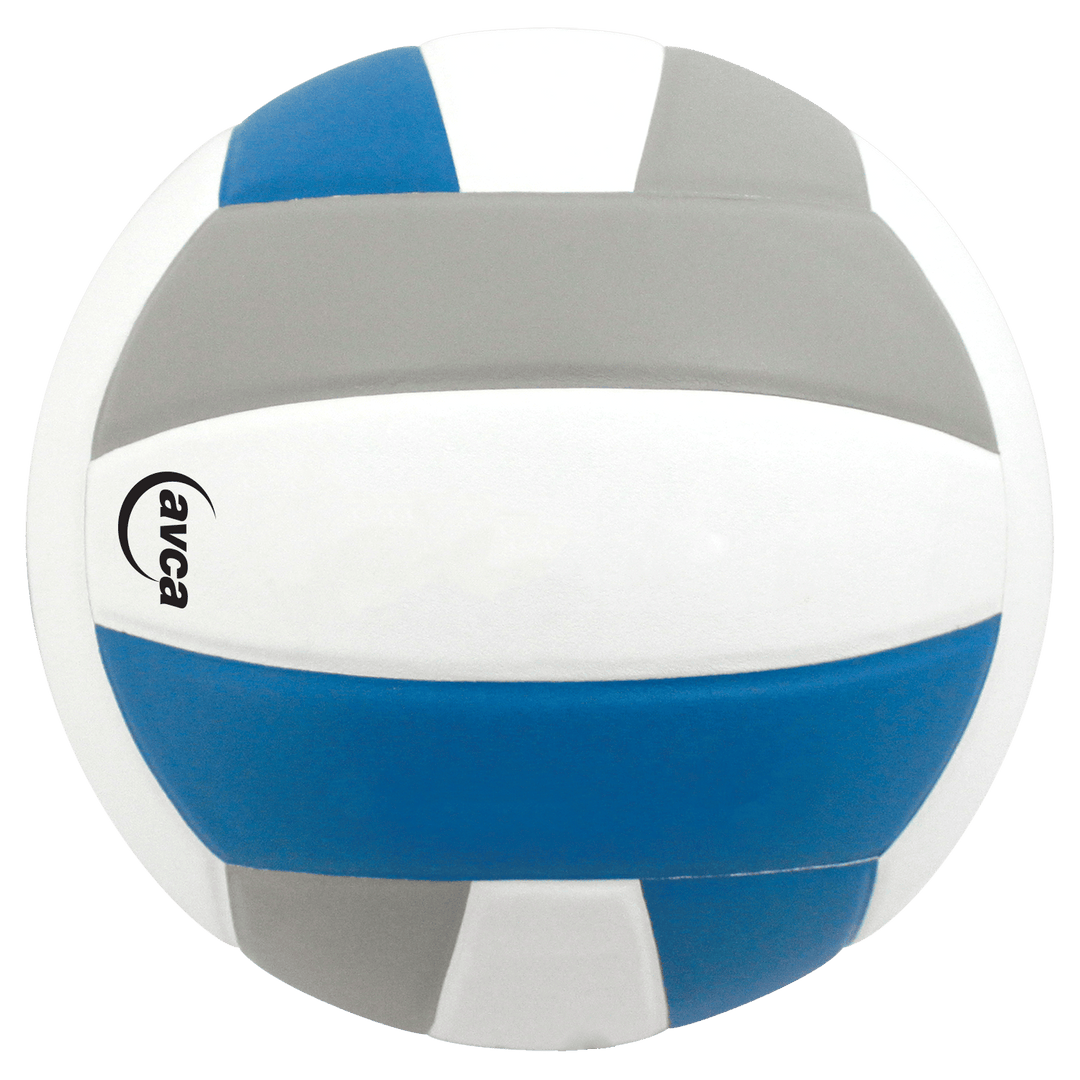 Baden Sports Volleyball All-American Volleyball