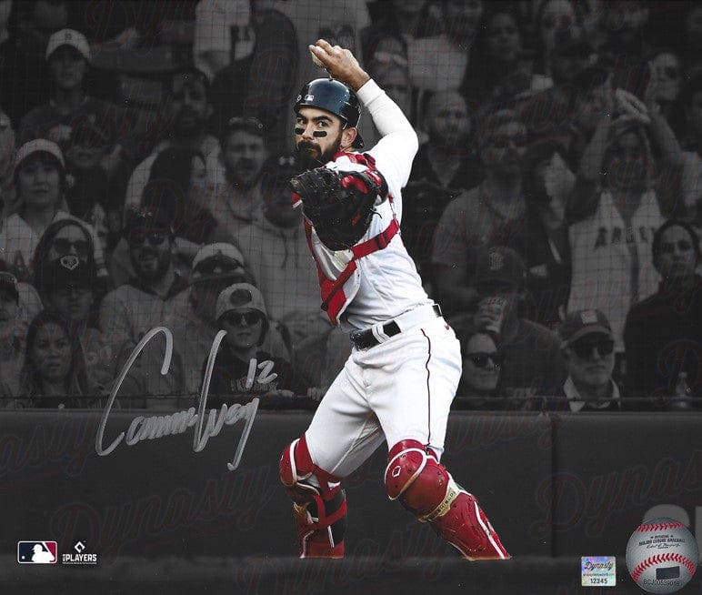 Dynasty Sports & Framing Autographed Baseball Photos Connor Wong Throwing Action Boston Red Sox Autographed 16" x 20" Spotlight Photo - Silver Signature