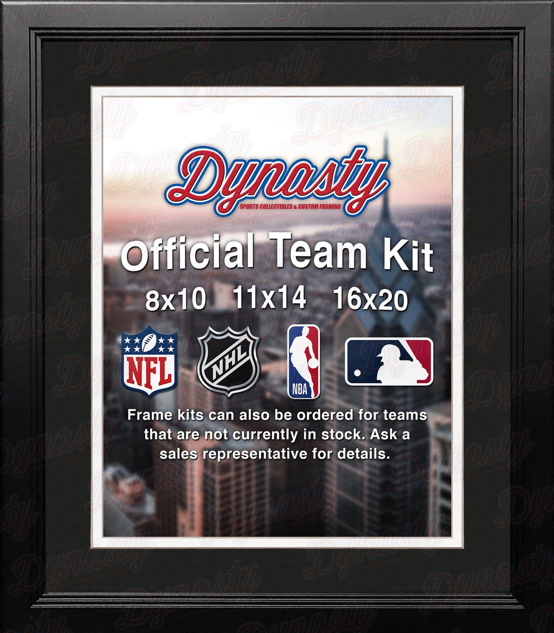 Dynasty Sports & Framing Custom Framing MLB Baseball Photo Picture Frame Kit - Chicago White Sox (Black Matting, White Trim)