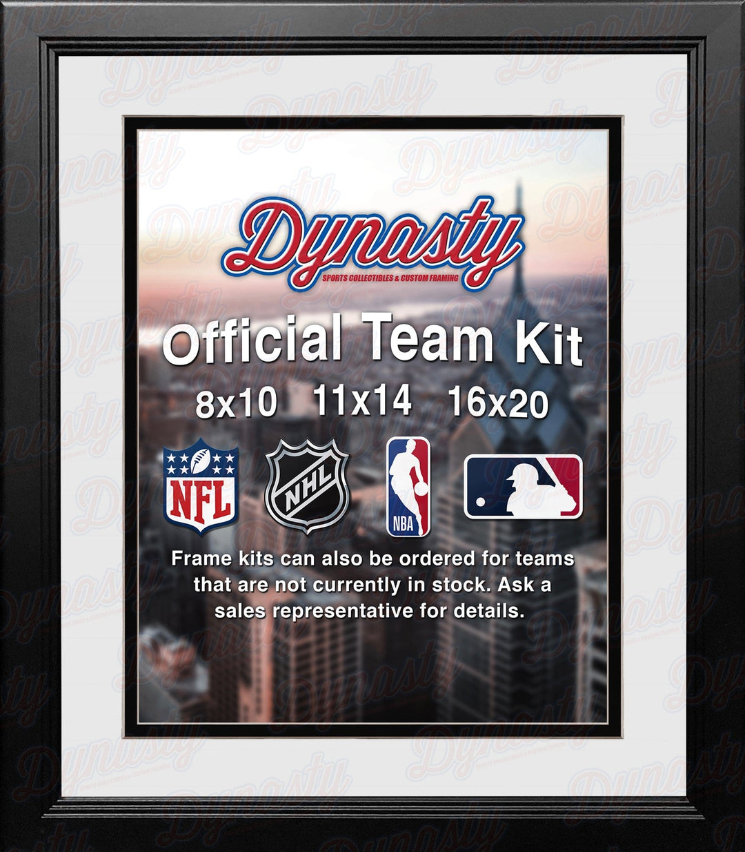 Dynasty Sports & Framing Custom Framing MLB Baseball Photo Picture Frame Kit - Chicago White Sox (White Matting, Black Trim)