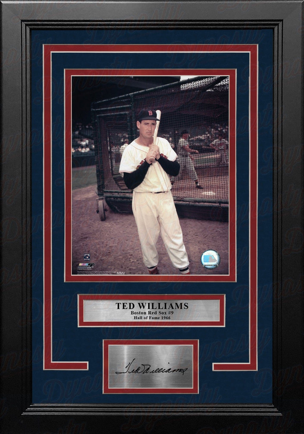 Dynasty Sports & Framing Engraved Signatures Ted Williams Batting Cage Boston Red Sox 8" x 10" Framed Baseball Photo with Engraved Autograph