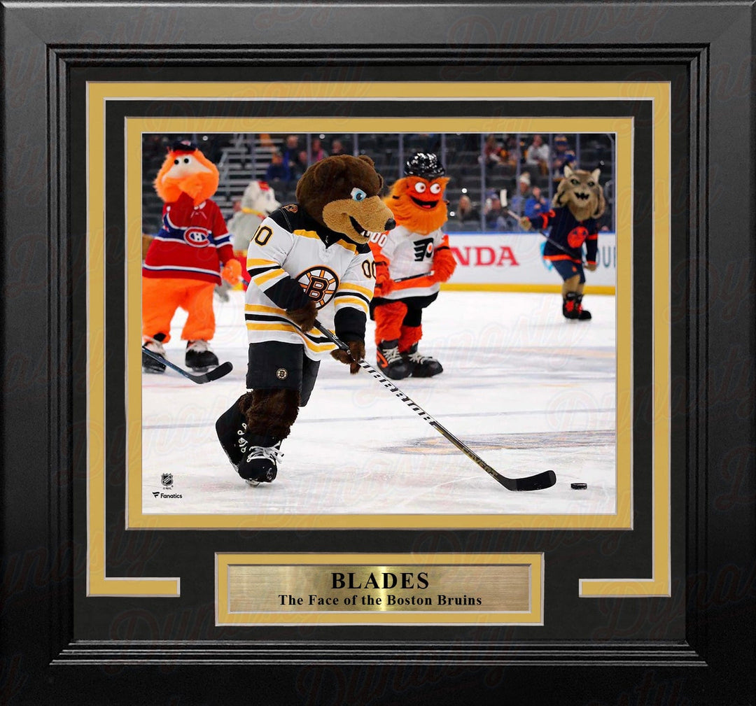Dynasty Sports & Framing Framed Hockey Photos Blades Skating on the Ice Boston Bruins 8" x 10" Framed Mascot Photo