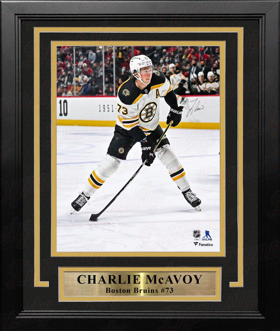 Dynasty Sports & Framing Framed Hockey Photos Charlie McAvoy in Action Boston Bruins 8" x 10" Framed Vertical Hockey Photo