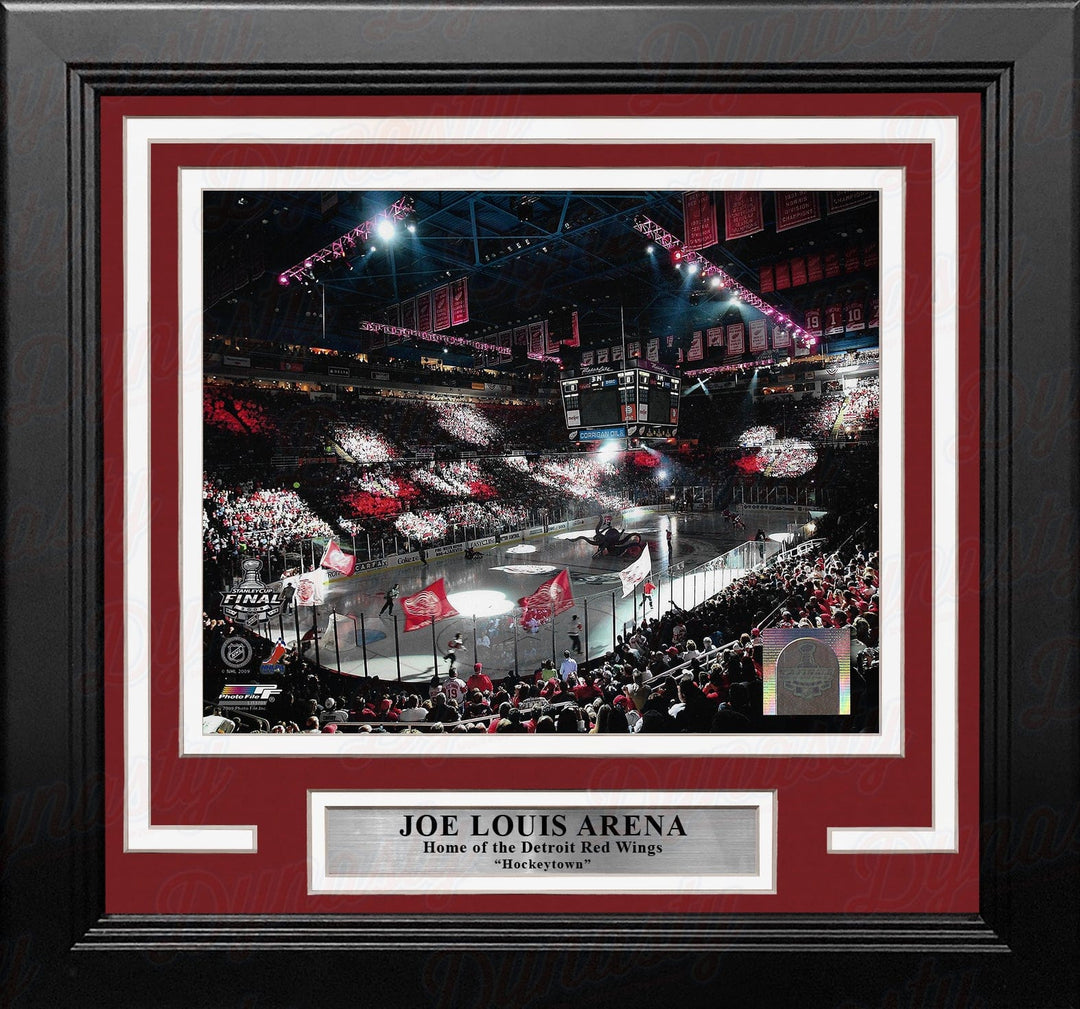 Dynasty Sports & Framing Framed Hockey Photos Detroit Red Wings Joe Louis Arena 2009 Stanley Cup Finals 8" x 10" Framed Hockey Stadium Photo