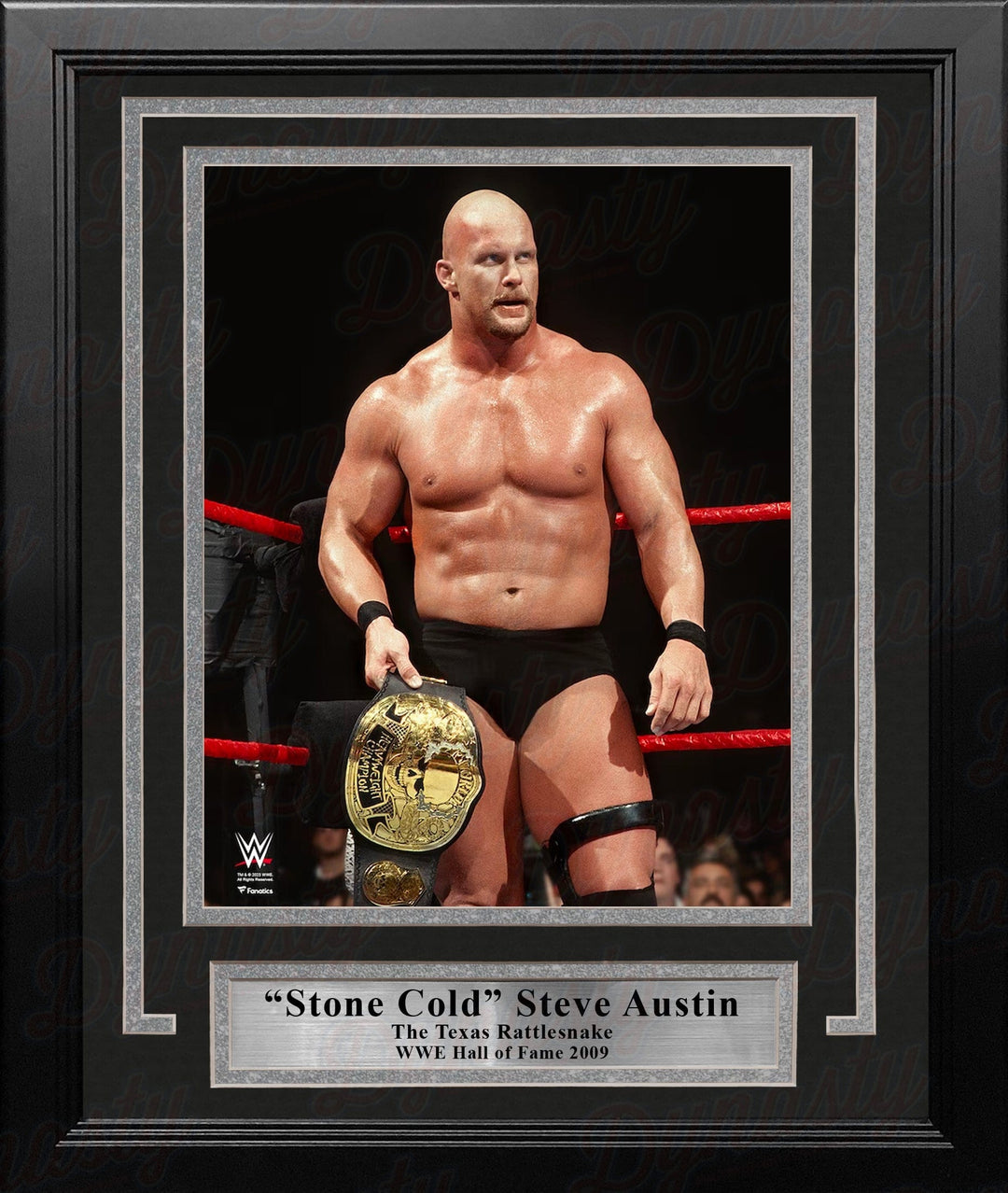 Dynasty Sports & Framing Framed Wrestling Photos Stone Cold Steve Austin Smoking Skull Championship Belt 8" x 10" Framed WWE Wrestling Photo