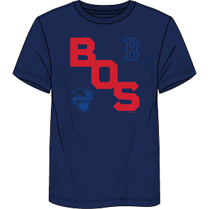 Dynasty Sports & Framing T-Shirts - Baseball Small Boston Red Sox Fundamentals Record Shattered T-Shirt - Navy