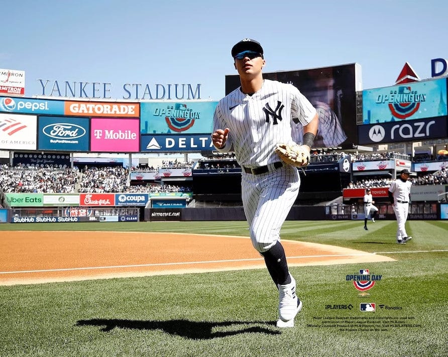 Dynasty Sports & Framing Unframed Baseball Photos Anthony Volpe Walks Onto the Field New York Yankees 8" x 10" Baseball Photo