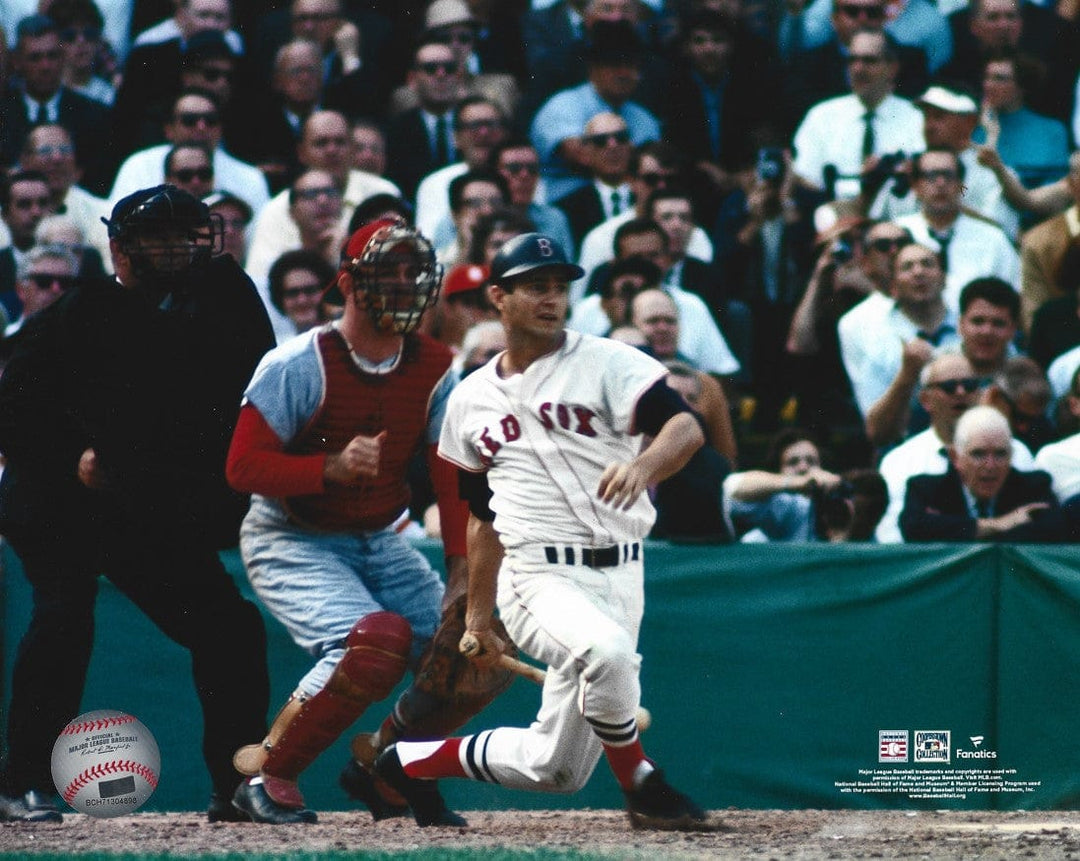 Dynasty Sports & Framing Unframed Baseball Photos Carl Yastrzemski in Action Boston Red Sox 8" x 10" Baseball Photo