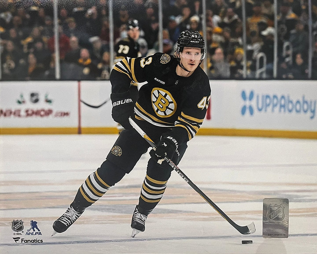 Dynasty Sports & Framing Unframed Hockey Photos Danton Heinen in Action Boston Bruins 8" x 10" Hockey Photo