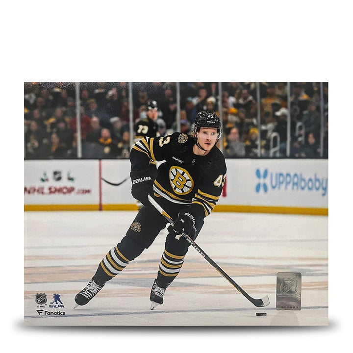Dynasty Sports & Framing Unframed Hockey Photos Danton Heinen in Action Boston Bruins 8" x 10" Hockey Photo