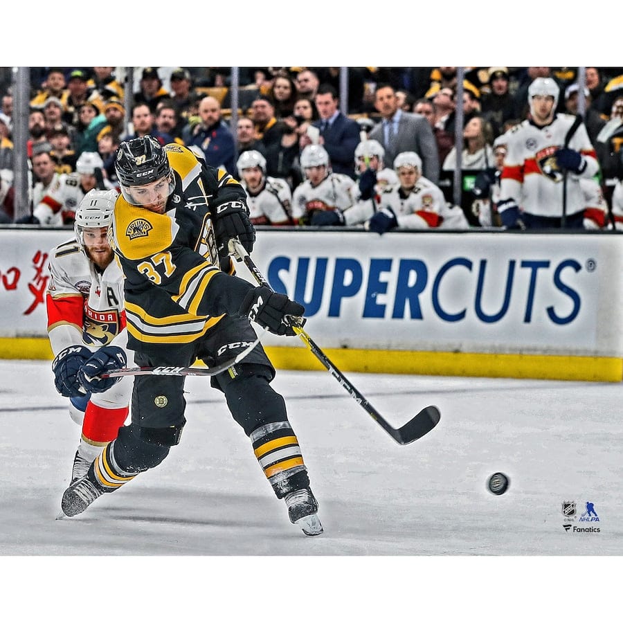 Dynasty Sports & Framing Unframed Hockey Photos Patrice Bergeron in Action Boston Bruins 8" x 10" Hockey Photo