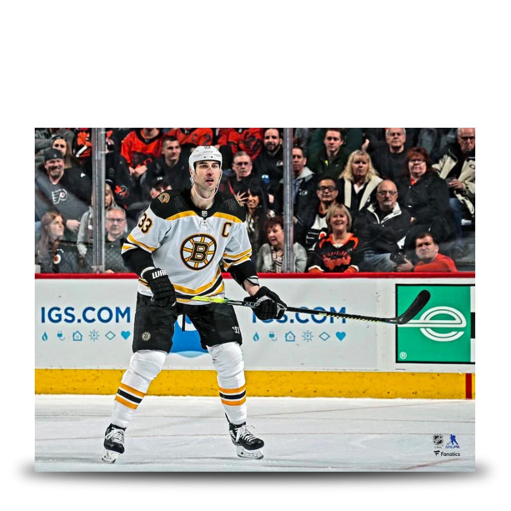 Dynasty Sports & Framing Unframed Hockey Photos Zdeno Chara in Action Boston Bruins 8" x 10" Hockey Photo