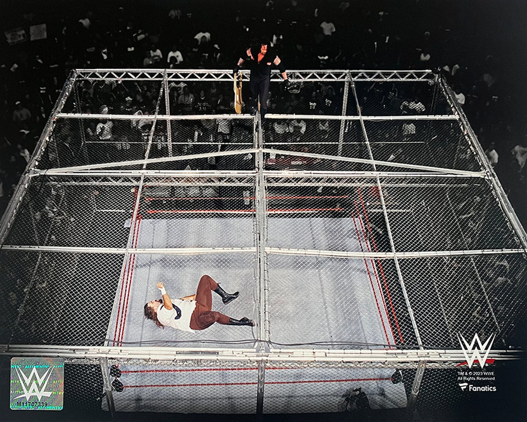 Dynasty Sports & Framing Unframed Wrestling Photos Mankind v. The Undertaker Hell in a Cell 8" x 10" WWE Wrestling Photo