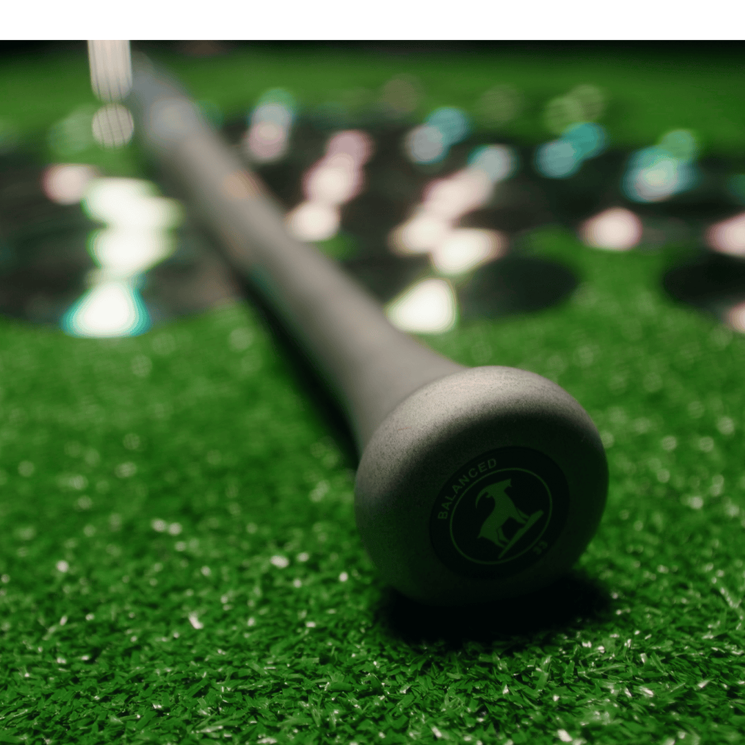 Mine Baseball Wood Bat Balanced