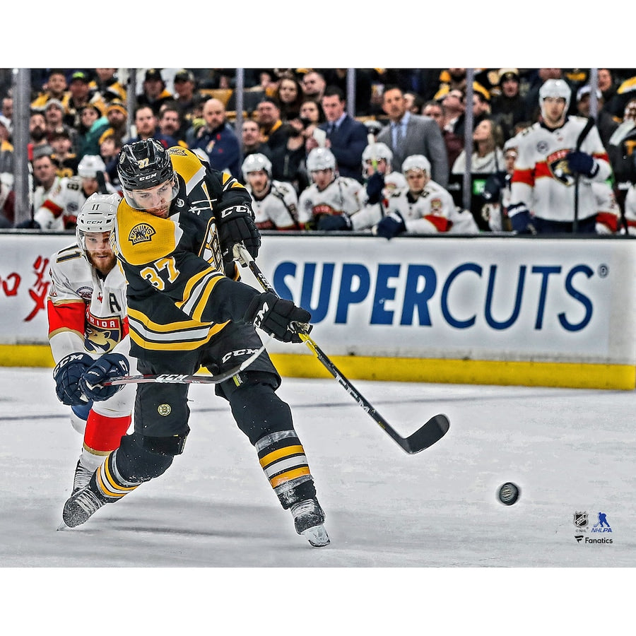 Patrice Bergeron in Action Boston Bruins 8" x 10" Hockey Photo