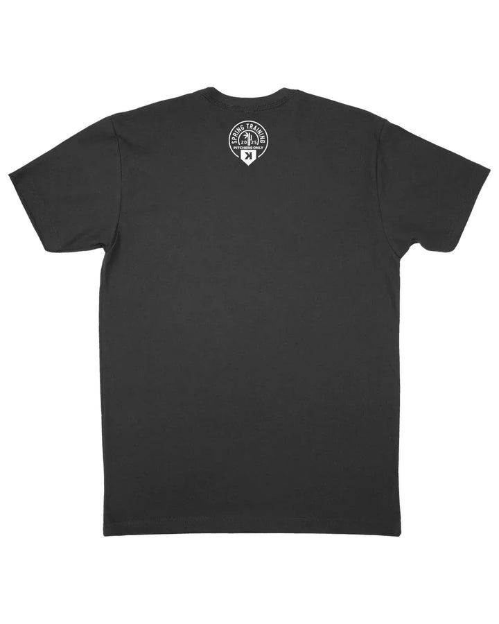 Pitchers Only T-Shirt Spring Training Sunset Tee