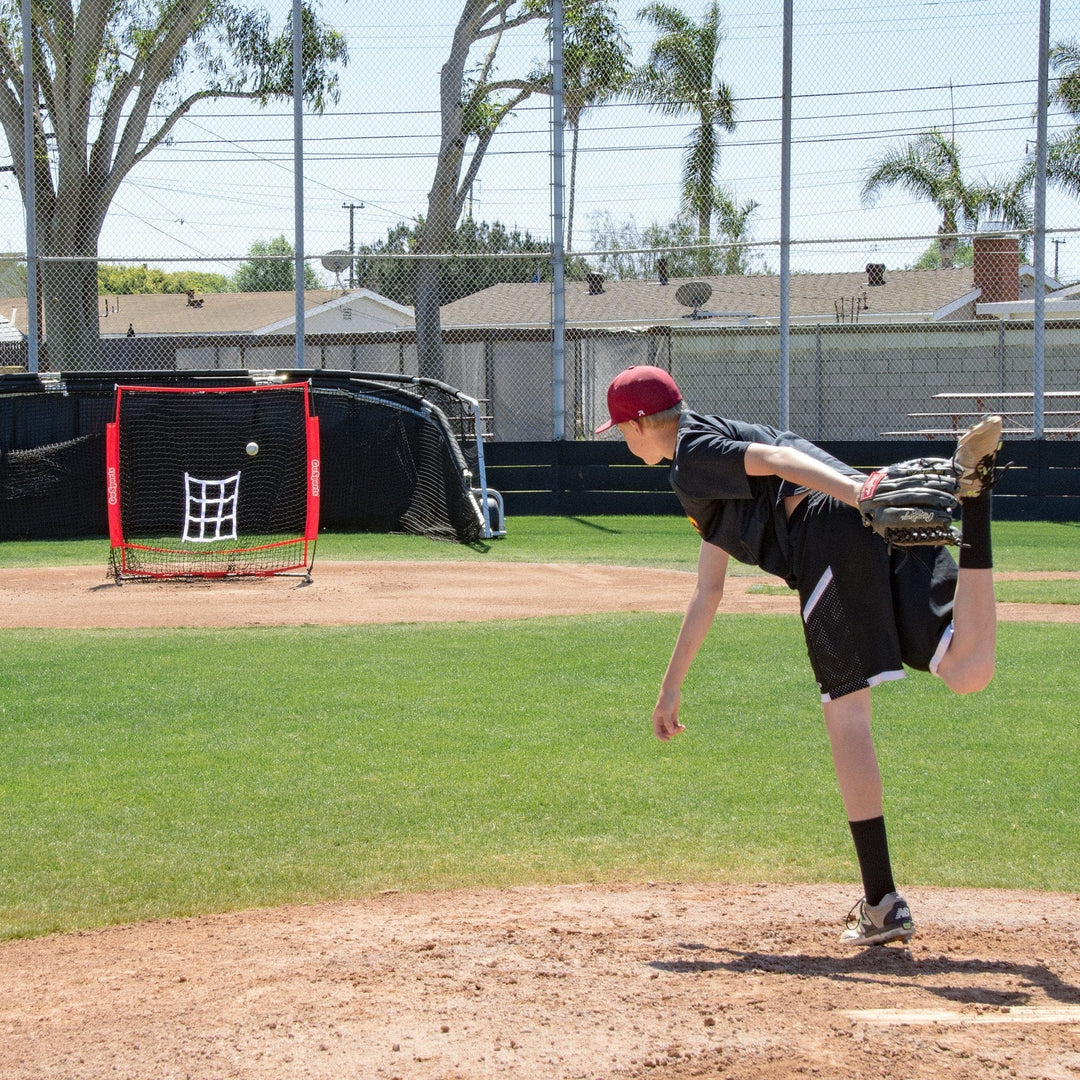 PlayGoSports.com Baseball GoSports 5 ft x 5 ft Baseball/Softball Practice Net