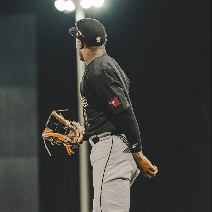 Stinger Sports Arm Sleeves Stinger Premium Arm Sleeve - Black