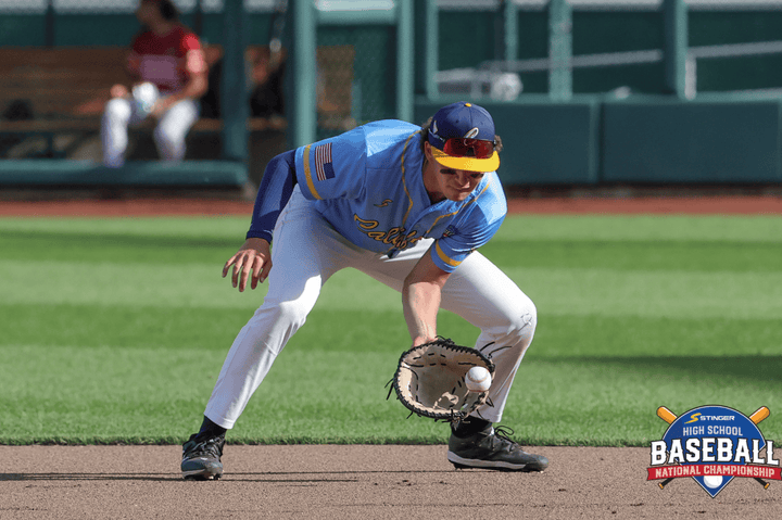 Stinger Sports Arm Sleeves Stinger Premium Arm Sleeve - Navy