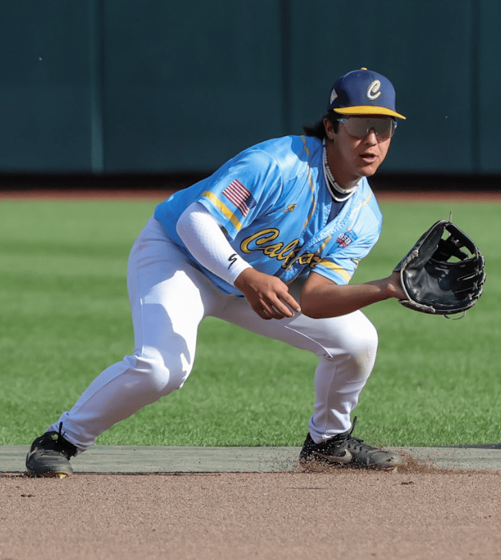 Stinger Sports Arm Sleeves Stinger Premium Arm Sleeve - White